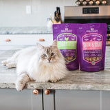 Stella & Chewy's Stella's Solutions for Cats Skin & Coat Support Cage-Free Duck & Wild-Caught Salmon Recipe Freeze-Dried Dinner Morsels