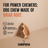 Canophera Briar Wood Root Dog Chews (Large)