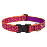 LupinePet Original Designs Dog Collar